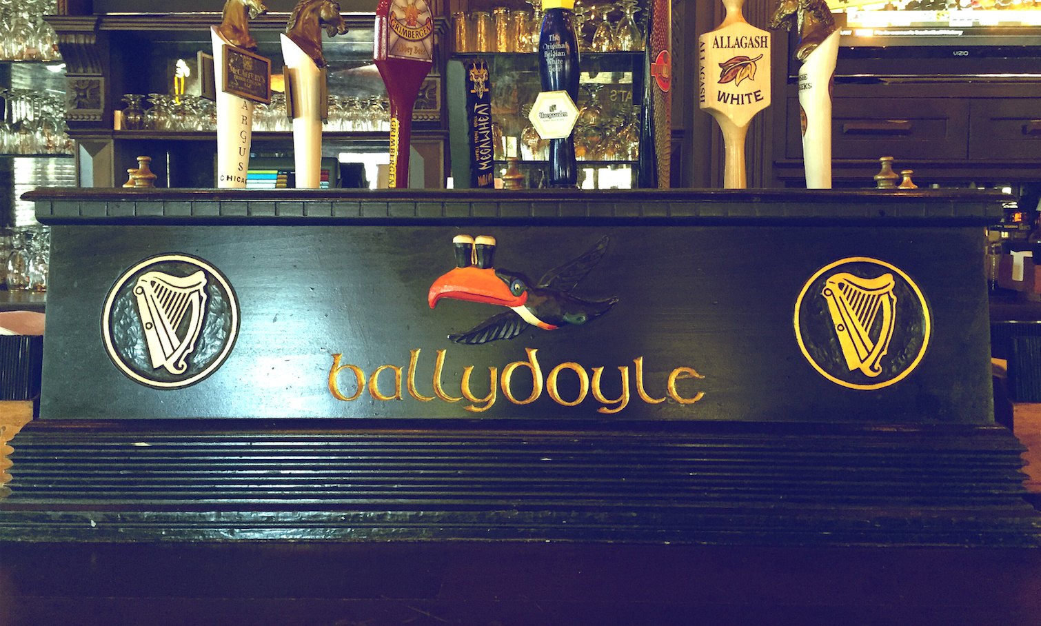Pet Friendly Ballydoyle Irish Pub & Restaurant  in Downers Grove, IL