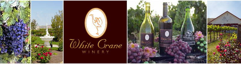 Pet Friendly White Crane Winery in Livermore, CA