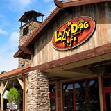 Pet Friendly Lazy Dog Restaurant & Bar - Valencia/Santa Clarita in Valencia, CA