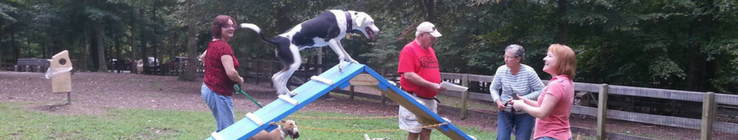 Pet Friendly Waller Mill Dog Park in Williamsburg, VA